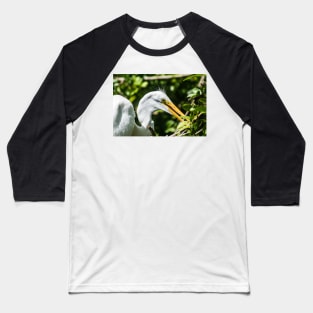 Great white egret in wildlife preserve Baseball T-Shirt